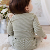 Organic Cotton Modal Everyday Legging - Petite Stripe Avocado Oil / Cloud Childrens Legging from Jamie Kay USA