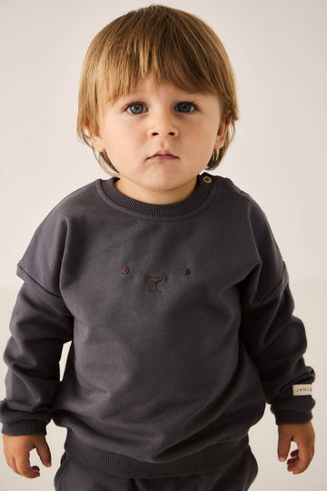 Organic Cotton Damien Sweatshirt - Arctic Childrens Sweatshirt from Jamie Kay USA