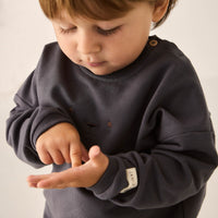 Organic Cotton Damien Sweatshirt - Arctic Childrens Sweatshirt from Jamie Kay USA