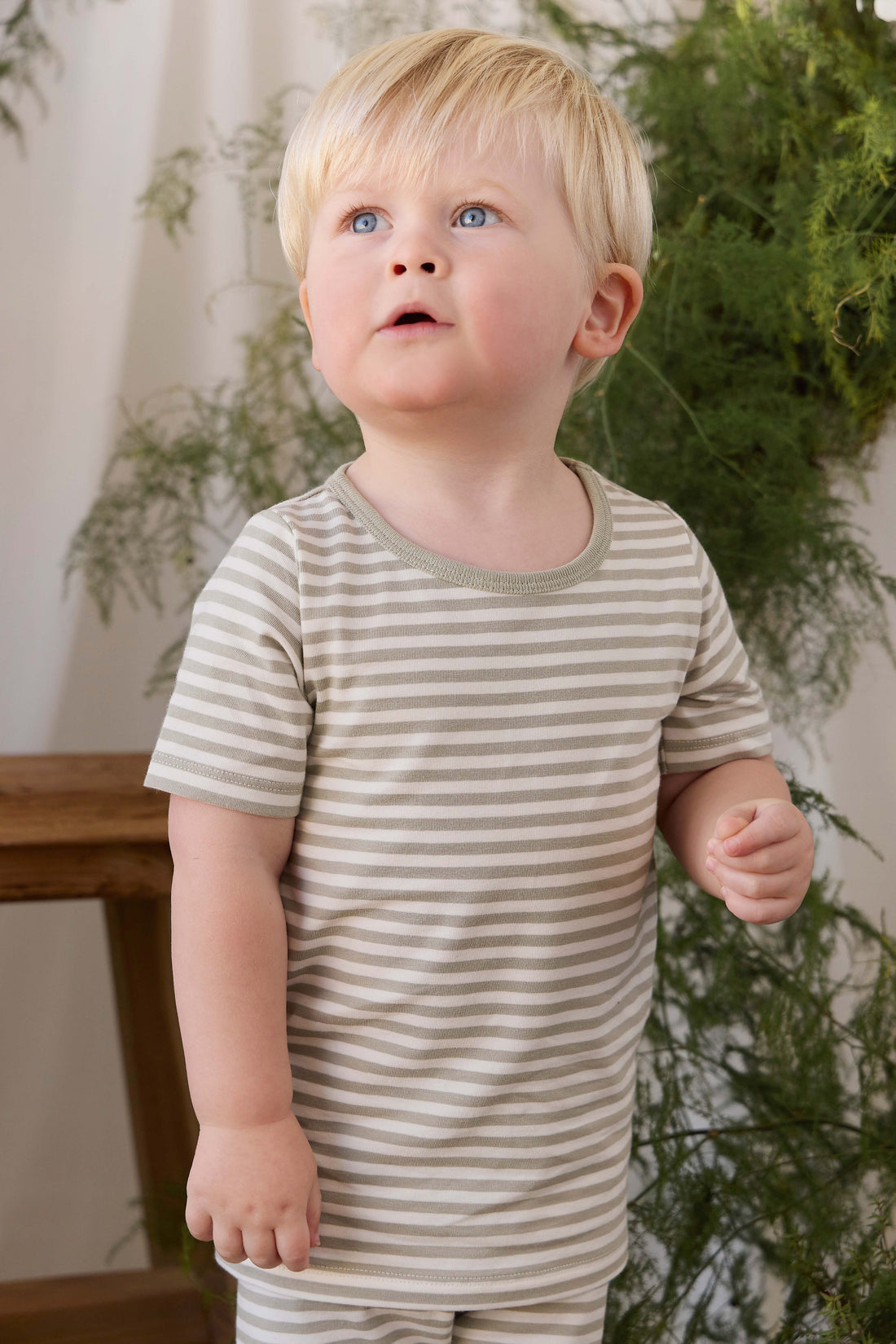 Organic Cotton Halston Short Sleeve Pyjama Set - Narrow Stripe Lichen/Cloud Childrens Pyjamas from Jamie Kay USA