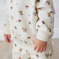 Organic Cotton Jalen Oversized Jumper - Woodland Friends Childrens Top from Jamie Kay USA