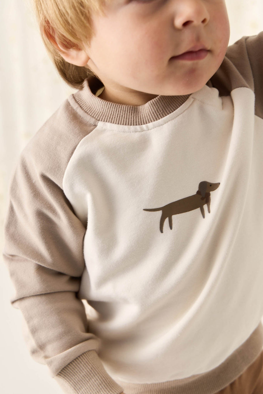 Organic Cotton Tao Sweatshirt - Vintage Taupe Cosy Basil Childrens Sweatshirt from Jamie Kay USA