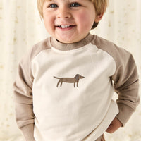 Organic Cotton Tao Sweatshirt - Vintage Taupe Cosy Basil Childrens Sweatshirt from Jamie Kay USA