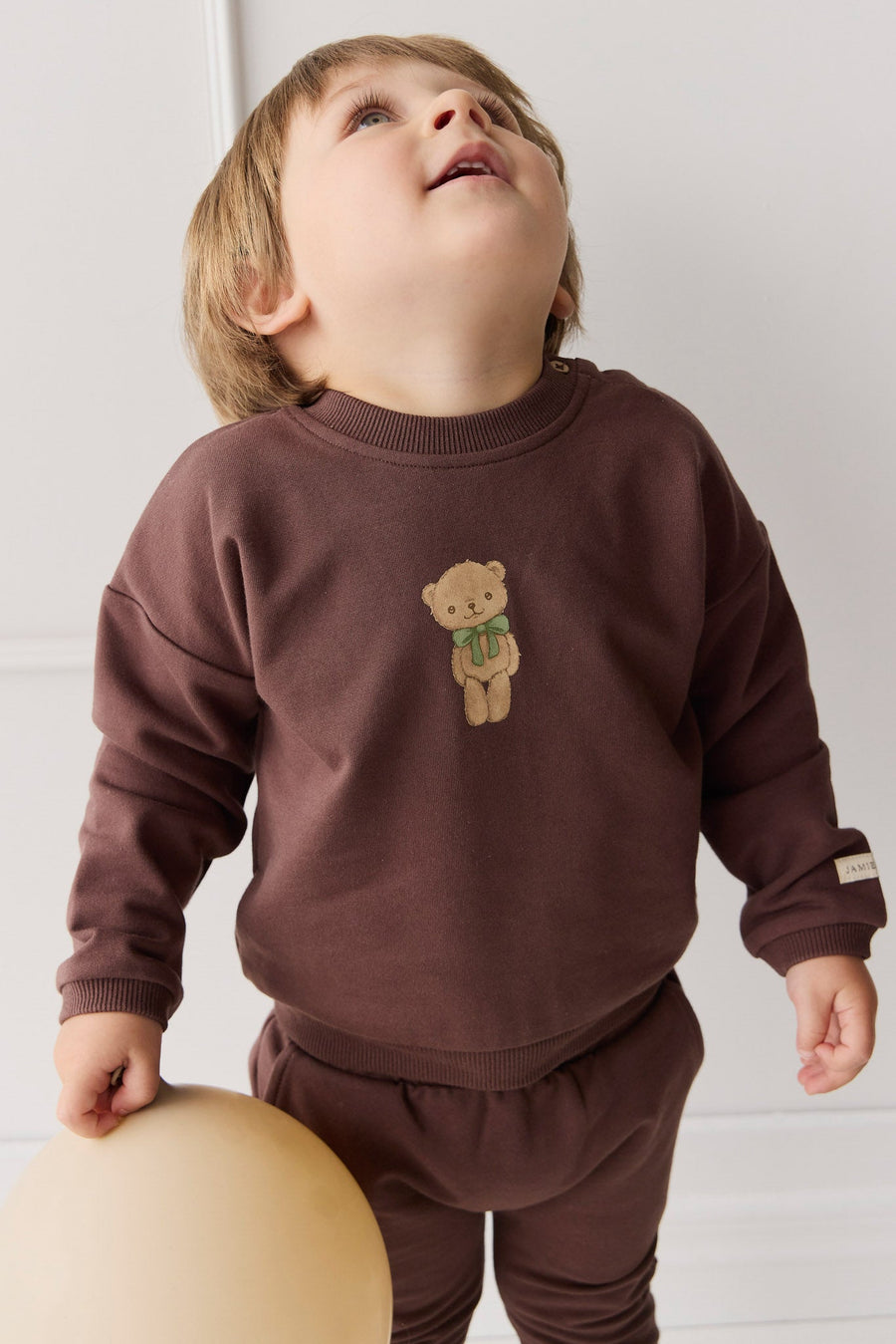 Organic Cotton Damien Sweatshirt - Earth Little Ted Childrens Top from Jamie Kay USA