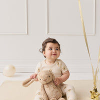 Organic Cotton Hudson Short Sleeve Bodysuit - Little Ted Childrens Bodysuit from Jamie Kay USA