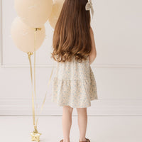 Organic Cotton Matilda Dress - Adnola Floral Childrens Dress from Jamie Kay USA