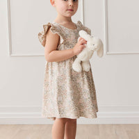 Organic Cotton Ada Dress - April Glacier Childrens Dress from Jamie Kay USA