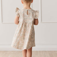 Organic Cotton Ada Dress - April Glacier Childrens Dress from Jamie Kay USA