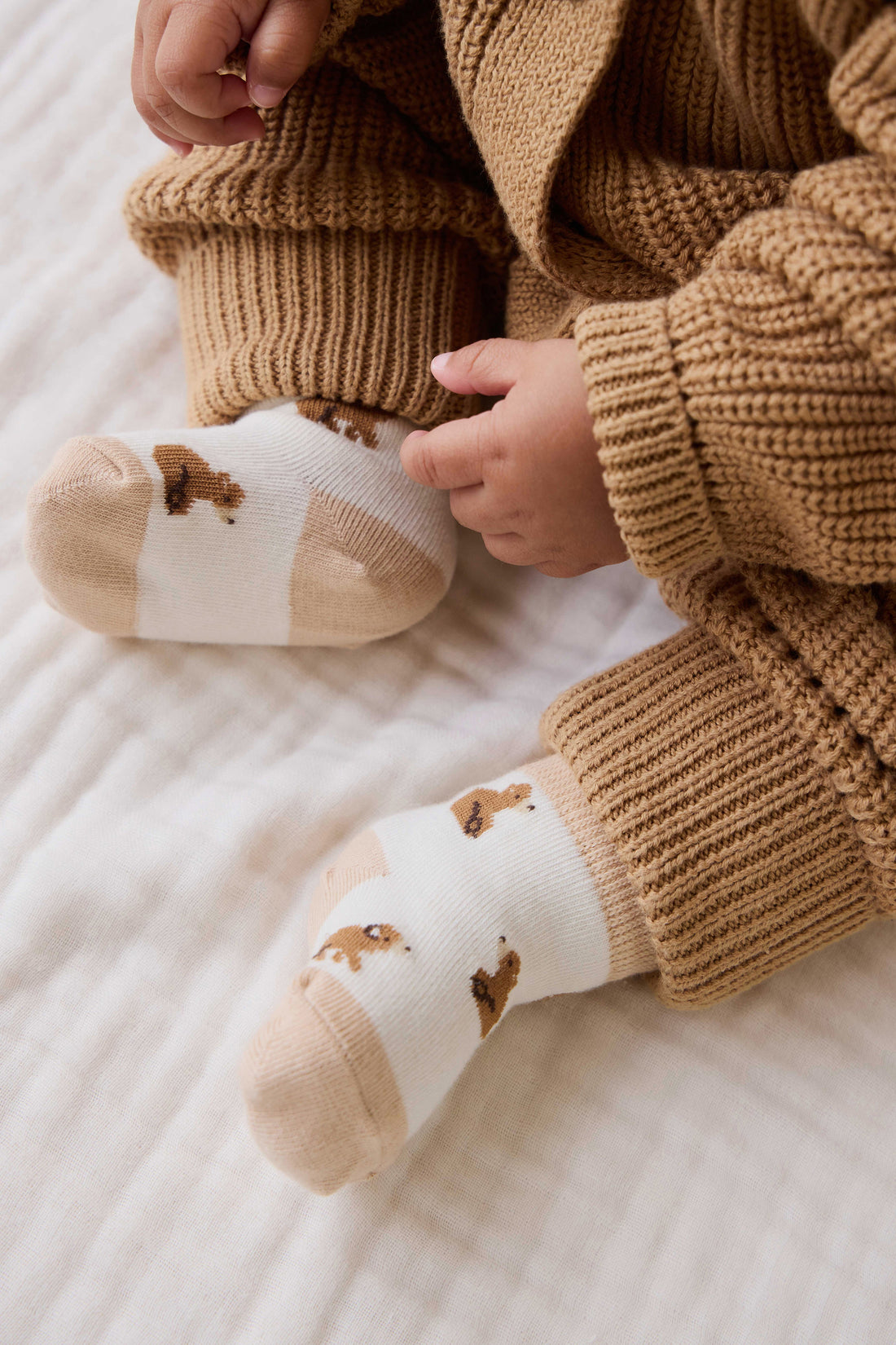 Honey Bear Socks - Honey Bear Childrens Socks from Jamie Kay USA
