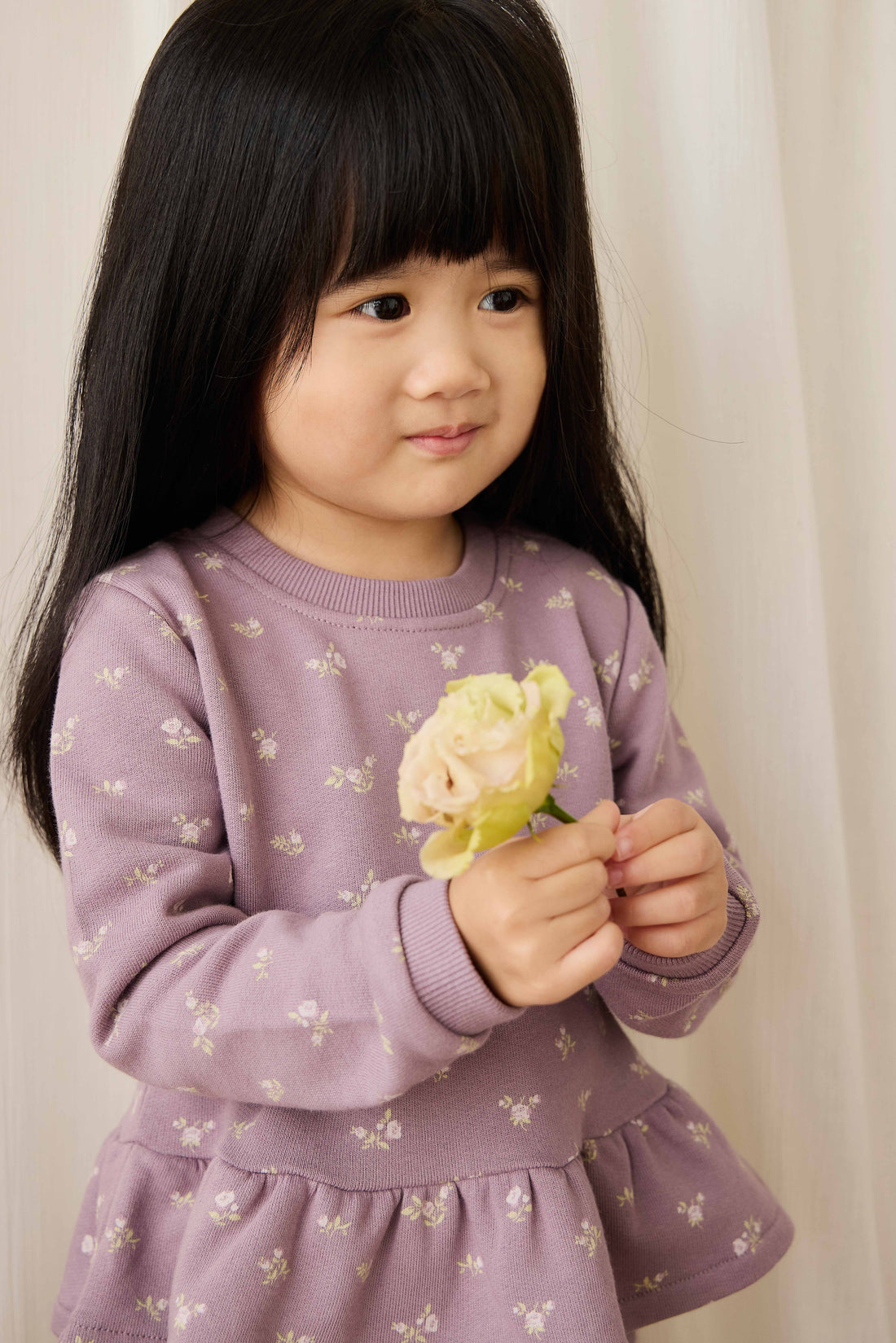 Organic Cotton Emiko Sweatshirt - Isla Plum Childrens Sweatshirting from Jamie Kay USA