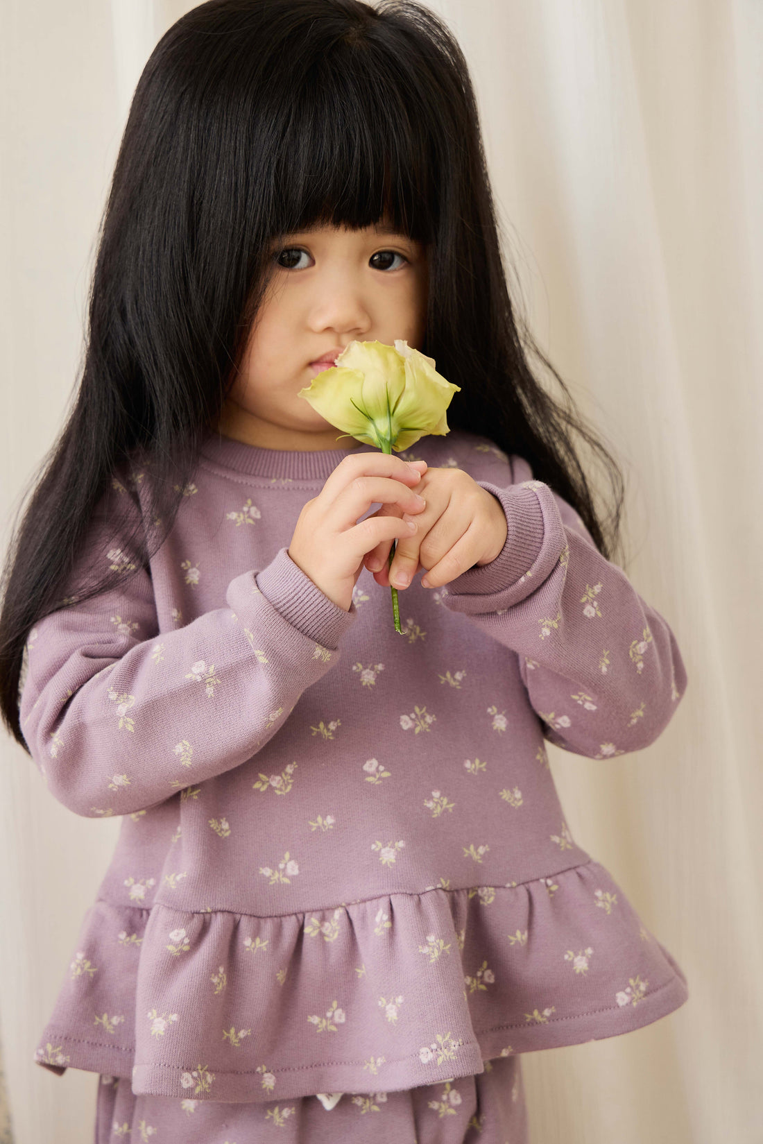 Organic Cotton Emiko Sweatshirt - Isla Plum Childrens Sweatshirting from Jamie Kay USA
