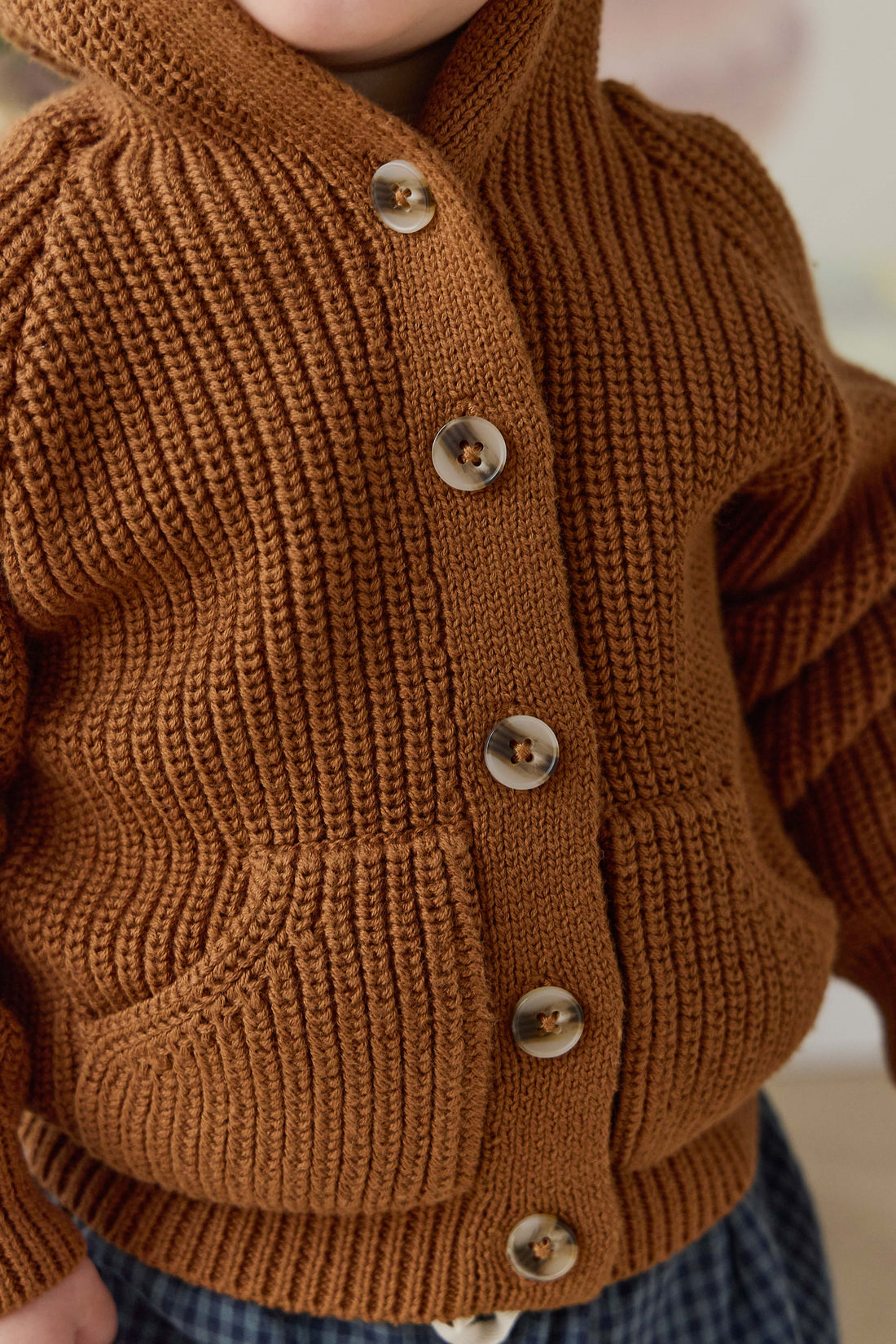 Bear Cardigan - Spice Childrens Cardigan from Jamie Kay USA