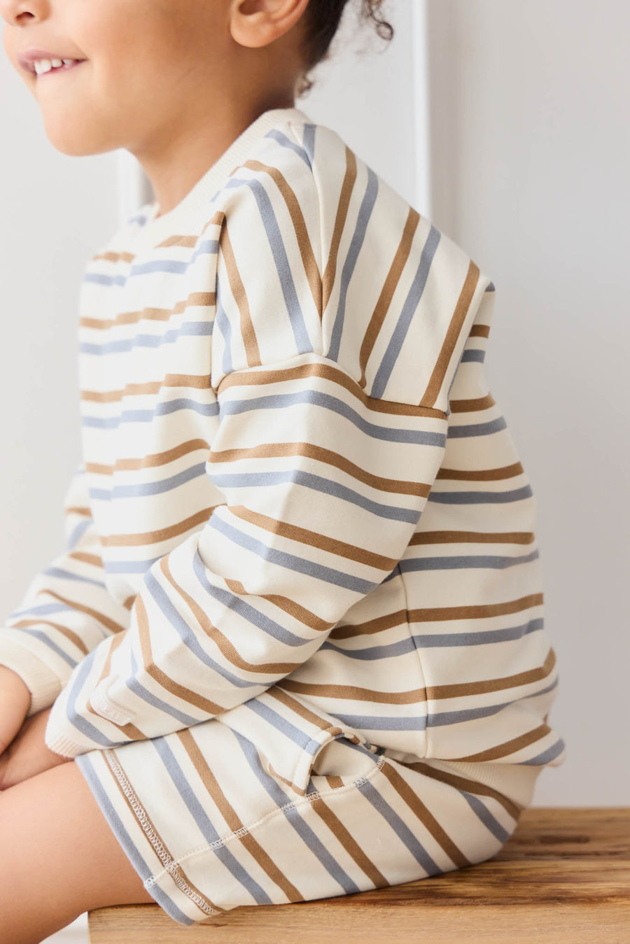Organic Cotton Damien Sweatshirt - Hudson Stripe Tiger Childrens Top from Jamie Kay USA