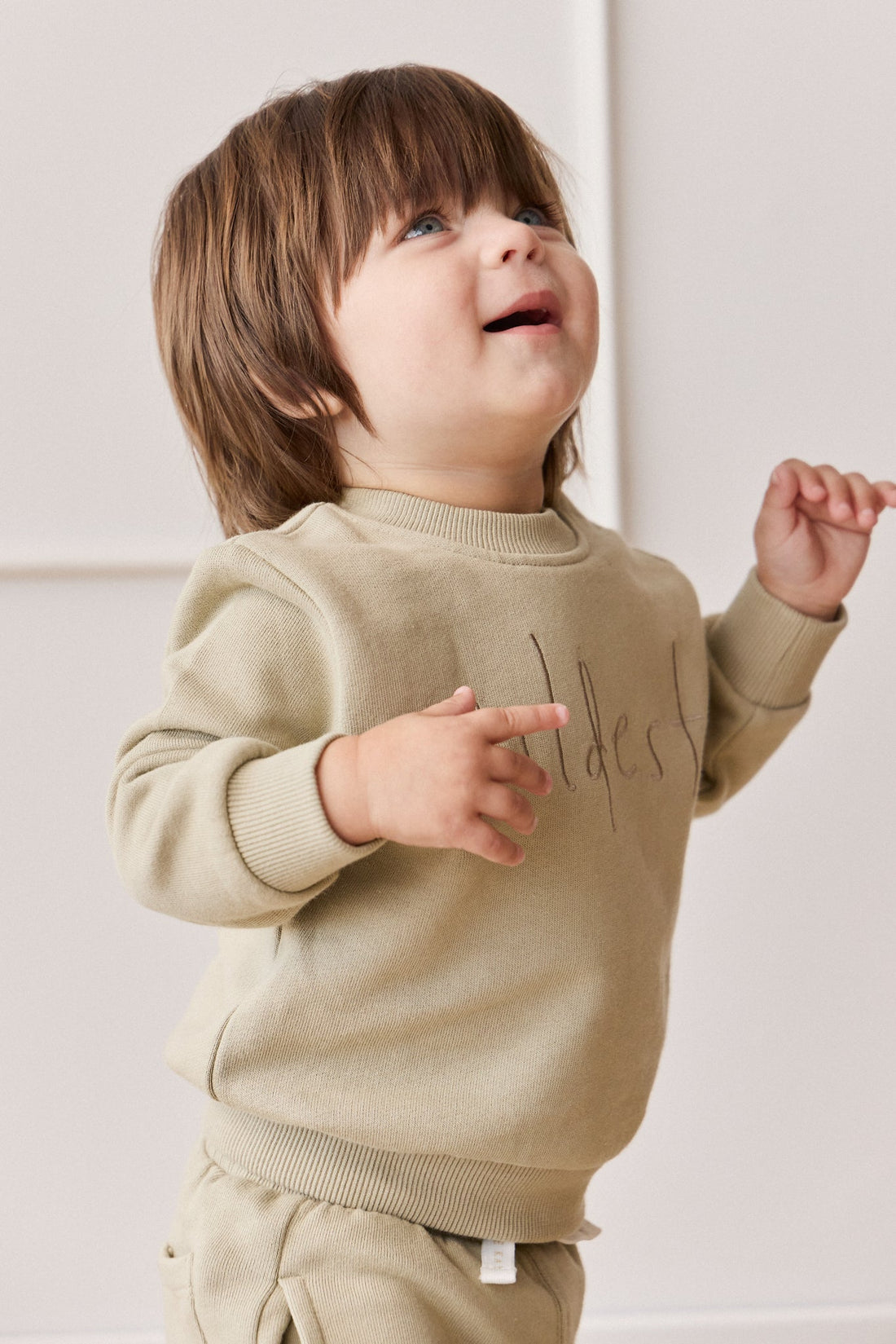 Organic Cotton Dominic Sweatshirt - Pampas Wildest Childrens Top from Jamie Kay USA
