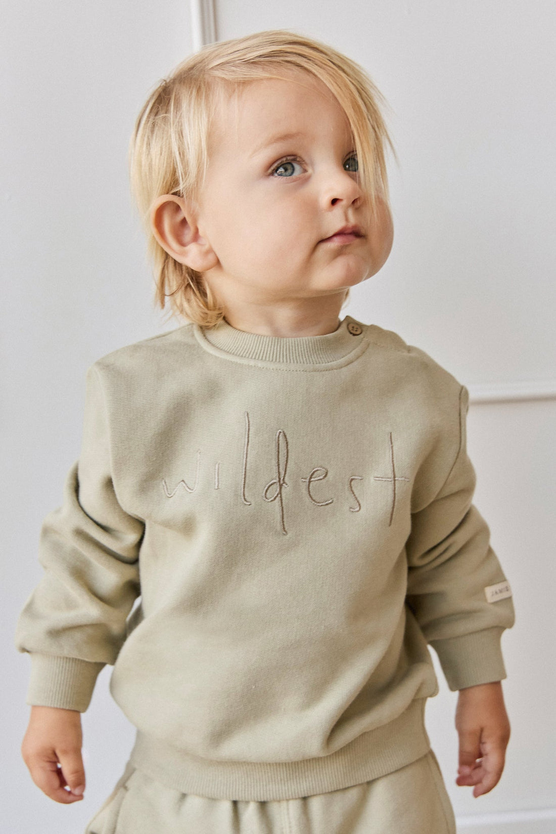 Organic Cotton Dominic Sweatshirt - Pampas Wildest Childrens Top from Jamie Kay USA