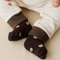 Bobbie Bear Sock - Jacquard Brownie Childrens Sock from Jamie Kay USA