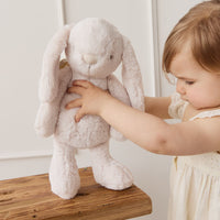 Snuggle Bunnies - Fairy Penelope - Pastel Childrens Toy from Jamie Kay USA