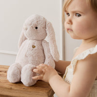 Snuggle Bunnies - Fairy Penelope - Pastel Childrens Toy from Jamie Kay USA