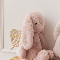 Snuggle Bunnies - Glitter Penelope Childrens Toy from Jamie Kay USA