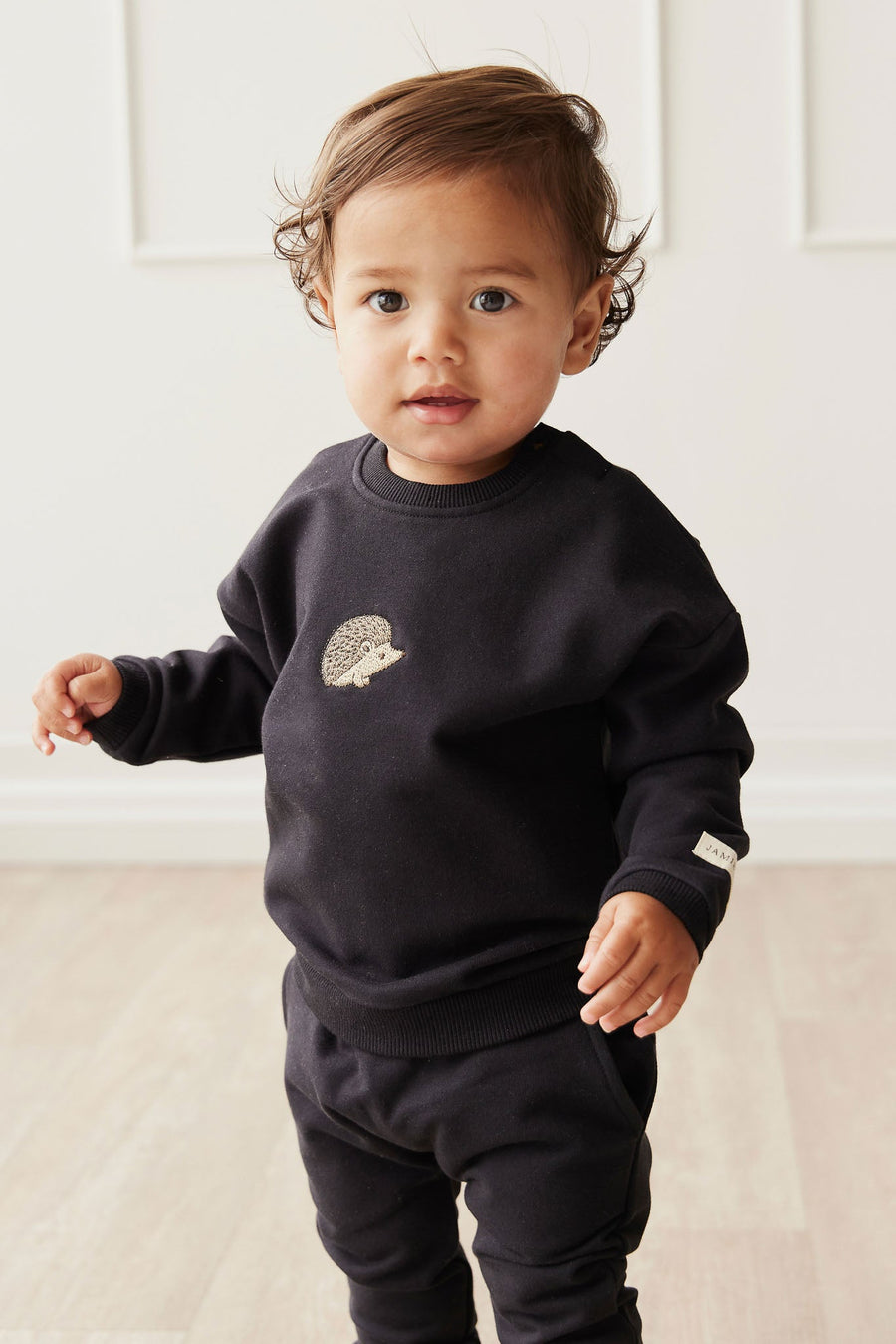 Organic Cotton Damien Sweatshirt - Constellation Hedgehog Childrens Top from Jamie Kay USA