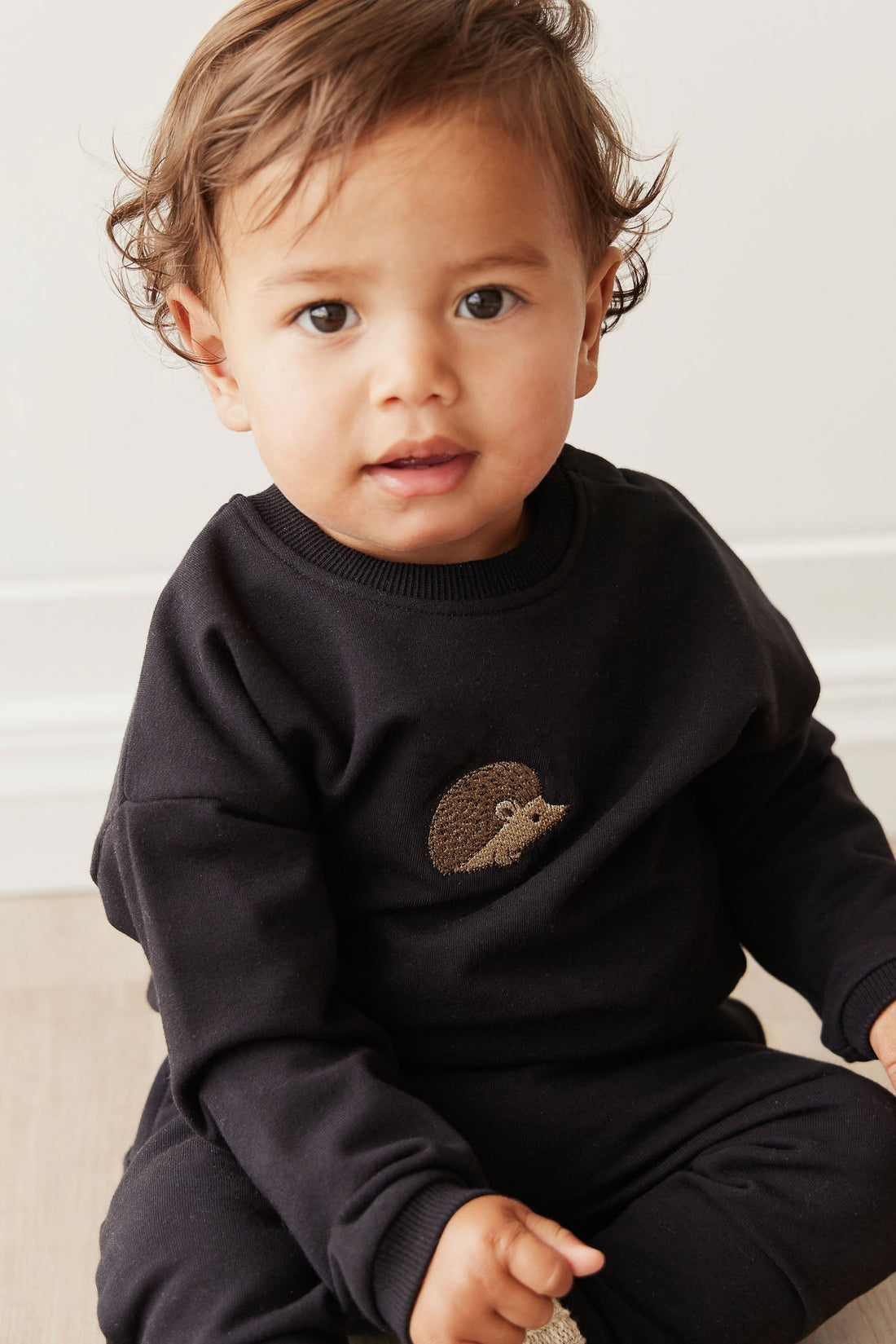 Organic Cotton Damien Sweatshirt - Constellation Hedgehog Childrens Top from Jamie Kay USA