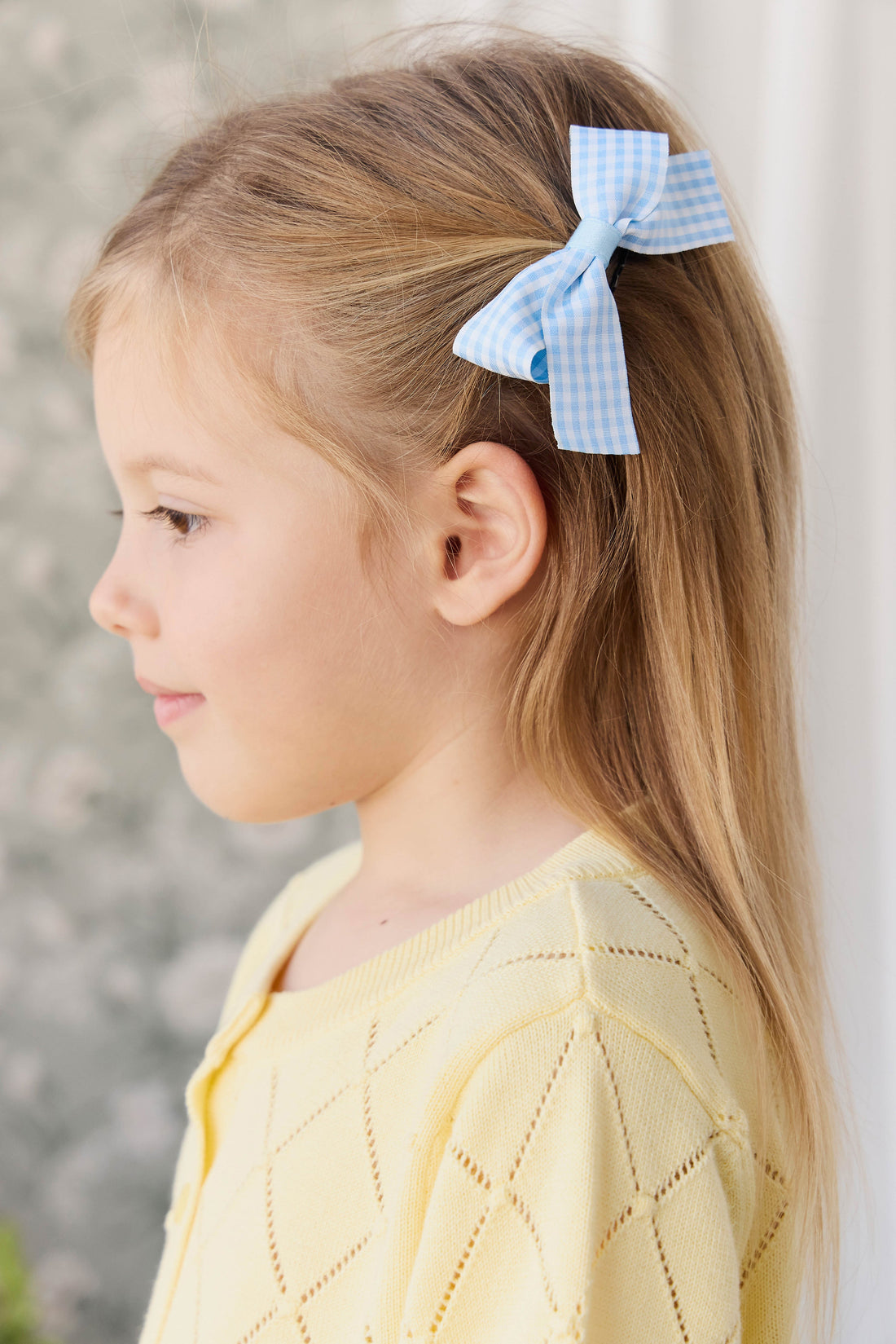 Wrenley Clip 2PK - Vanilla Sky Gingham Childrens Hair Accessories from Jamie Kay USA