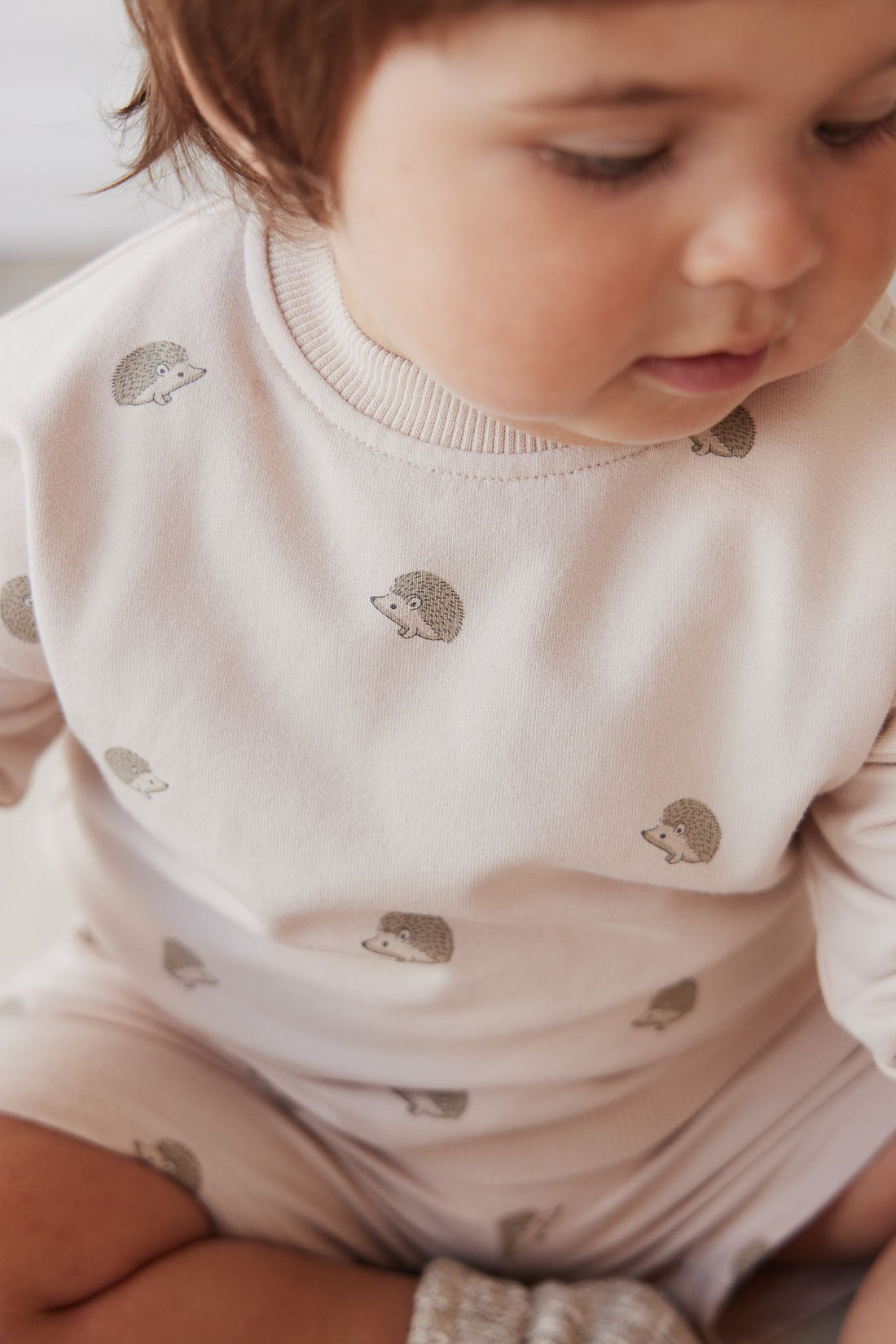 Organic Cotton Kit Sweatshirt - Henry Hedgehog Birch Childrens Top from Jamie Kay USA