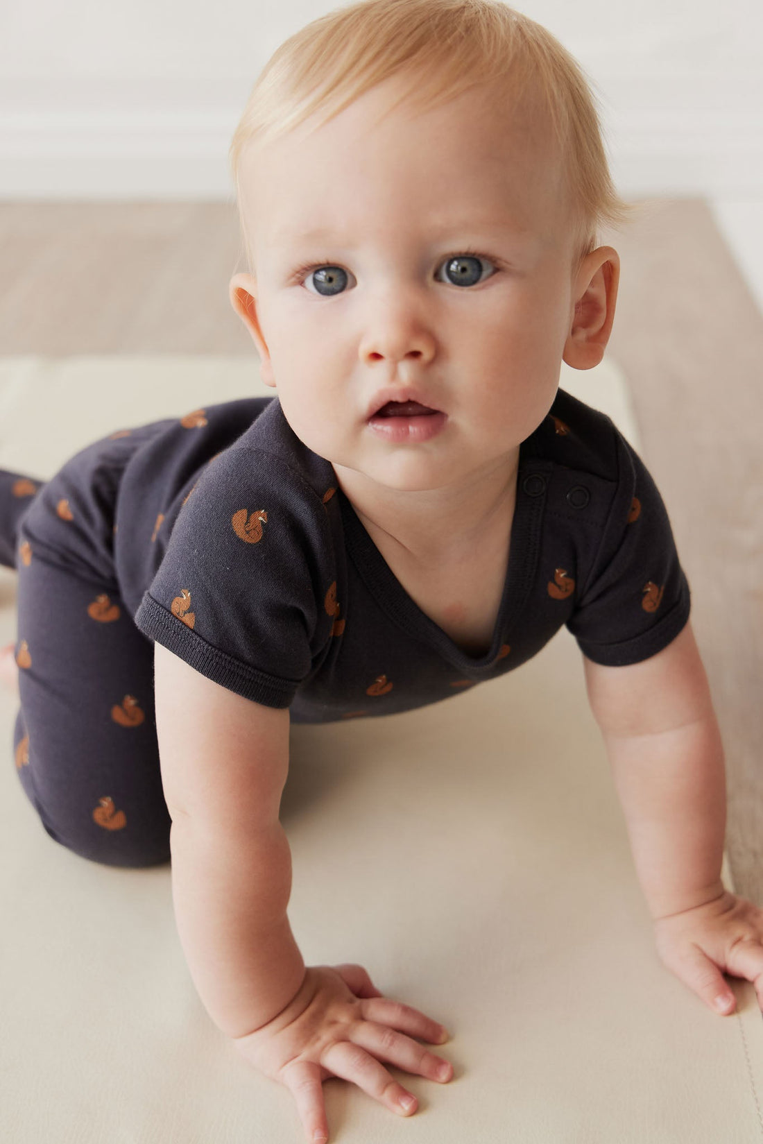 Organic Cotton Hudson Short Sleeve Bodysuit - Fox Cubs Constellation Childrens Bodysuit from Jamie Kay USA