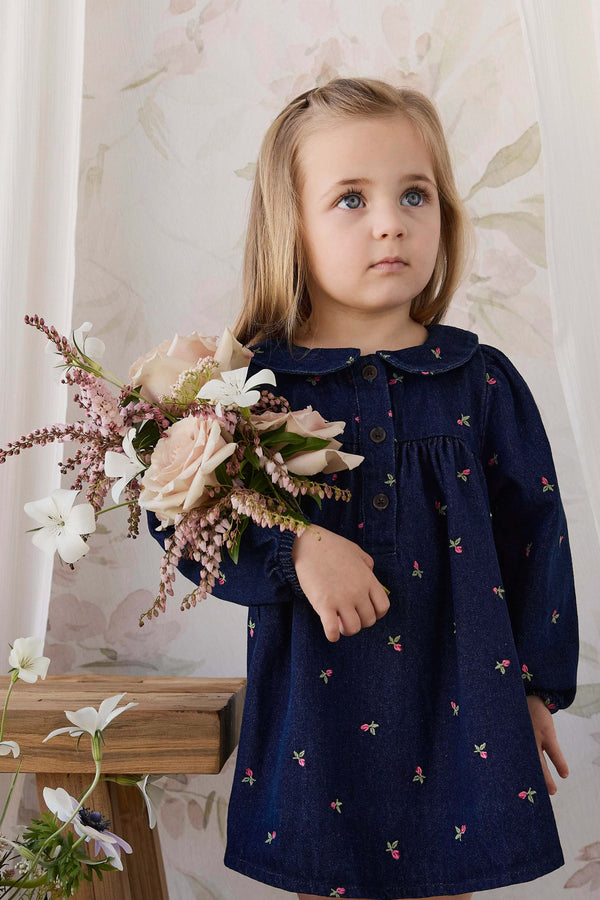 Gracen Dress - Rosebud Denim Childrens Dress from Jamie Kay USA