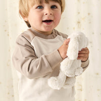 Organic Cotton Tao Sweatshirt - Vintage Taupe Cosy Basil Childrens Sweatshirt from Jamie Kay USA