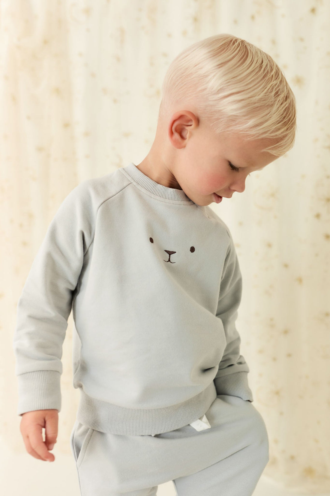 Organic Cotton Palmer Pullover - Droplet Childrens Sweatshirt from Jamie Kay USA