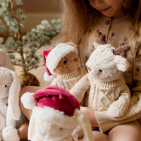 Snuggle Bunnies - Christmas Georgie Childrens Toy from Jamie Kay USA