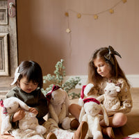 Snuggle Bunnies - Christmas Penelope - Pastel Childrens Toy from Jamie Kay USA