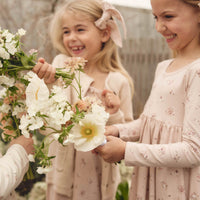 Organic Cotton Gracelyn Dress - Petite Fleur Soft Peony Childrens Dress from Jamie Kay USA