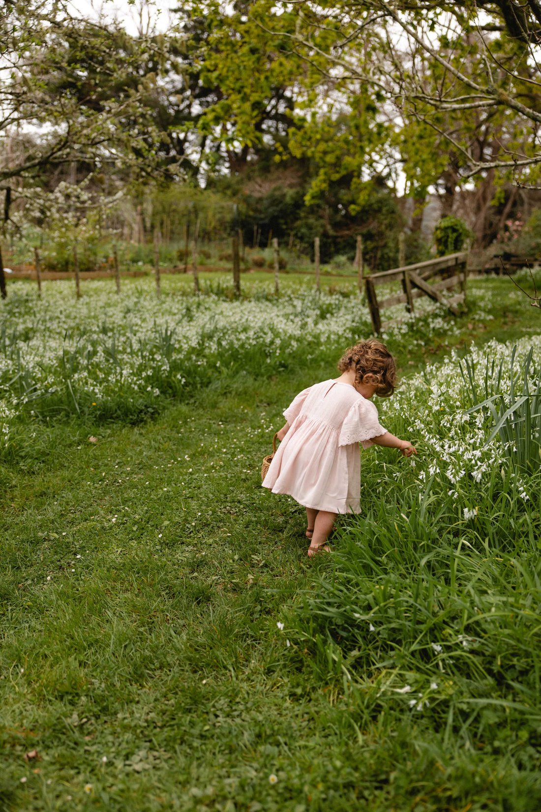 Organic Cotton Muslin Chloe Dress - Cotton Candy Childrens Dress from Jamie Kay USA