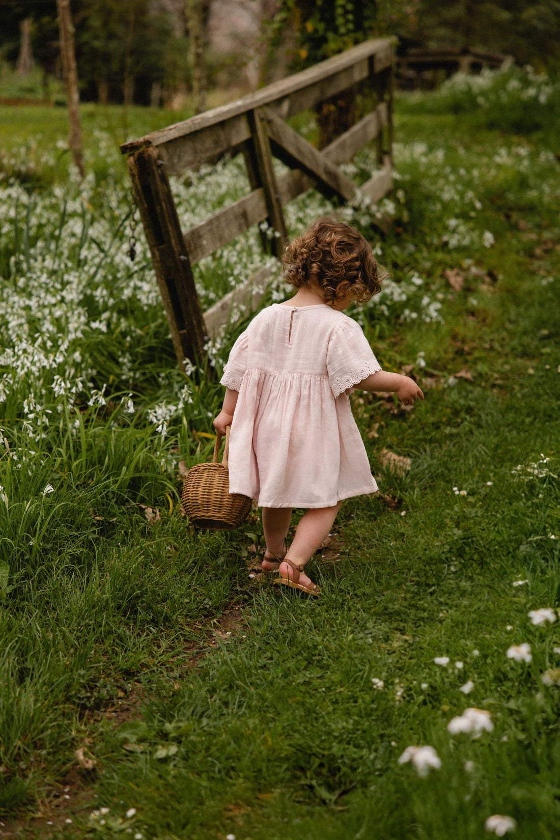 Organic Cotton Muslin Chloe Dress - Cotton Candy Childrens Dress from Jamie Kay USA