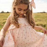 Organic Cotton Muslin Lola Dress - Meredith Morganite Childrens Dress from Jamie Kay USA