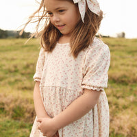 Organic Cotton Penny Dress - Emmy Egret Childrens Dress from Jamie Kay USA