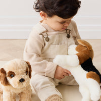 Snuggle Bunnies - Coco The Shih Tzu Childrens Toy from Jamie Kay USA