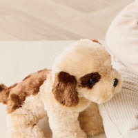 Snuggle Bunnies - Coco The Shih Tzu Childrens Toy from Jamie Kay USA