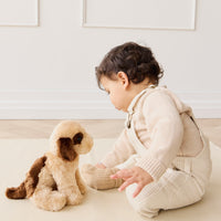 Snuggle Bunnies - Coco The Shih Tzu Childrens Toy from Jamie Kay USA