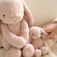 Snuggle Bunnies - Frankie the Hugging Bunny - Blush Childrens Toy from Jamie Kay USA