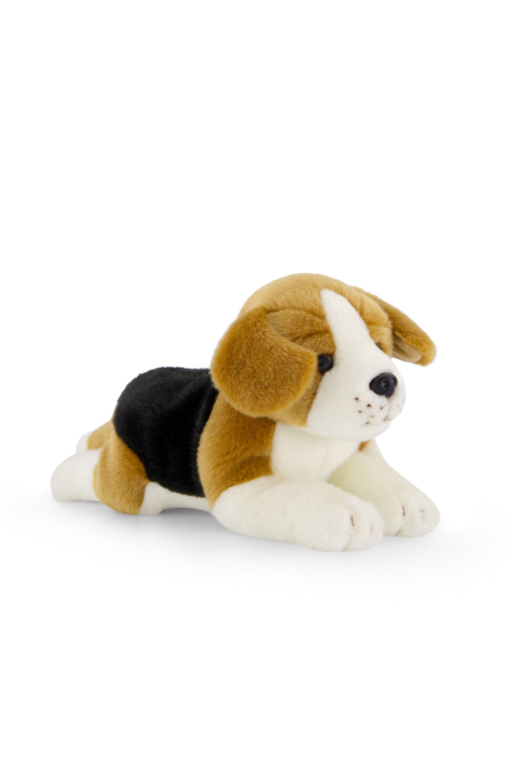 Snuggle Bunnies - Brooklyn The Beagle Childrens Toy from Jamie Kay USA