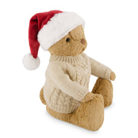 Snuggle Bunnies - Christmas Georgie Childrens Toy from Jamie Kay USA