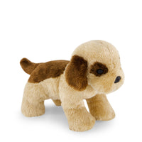 Snuggle Bunnies - Coco The Shih Tzu Childrens Toy from Jamie Kay USA