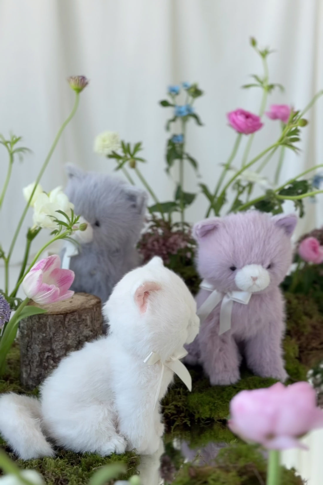 Snuggle Bunnies - Moon the Kitty - Violet Childrens Toys from Jamie Kay USA