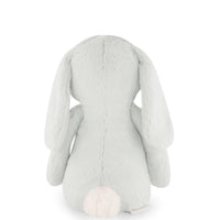 Snuggle Bunnies - Penelope the Bunny - Willow Childrens Toy from Jamie Kay USA
