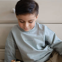 Organic Cotton Asher Sweatshirt - Beluga Childrens Sweatshirting from Jamie Kay USA